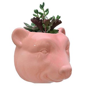 Vaso de Parede Cachepot Urso Rosa Cerâmica