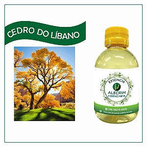 Essência Cedro Do Líbano