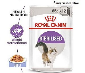 Royal Canin Sachê Feline Sterilised Jelly 85g (Geleia)