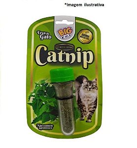 Cat Nip Erva do Gato Desidratada Big Cat 3gr