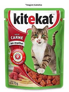 Ração Úmida Kitekat Sachê Carne ao Molho para Gatos Adultos 70g