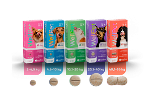Wellpet Cães Antipulgas e Carrapatos