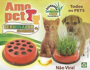 Kit Germinador de Graminhas para Cães e Gatos