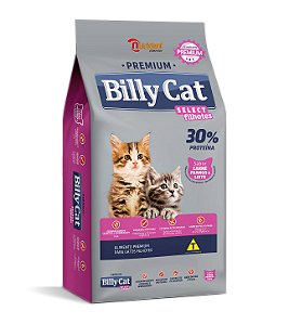 Billy Cat Select Filhotes