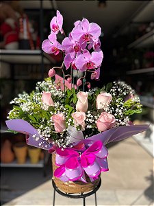 Encanto Floral