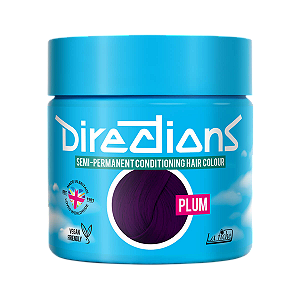 Directions - La Riché 88ml - Plum