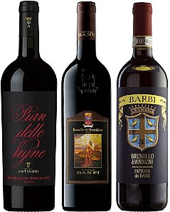Box Brunello di Montalcino 2019 | 3 Interpretações de uma Grande Safra
