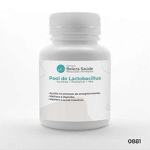 Probióticos para Digestão e Alívio Intestinal : Pool de Lactobacillus Curvatus + Plantarum + FOS