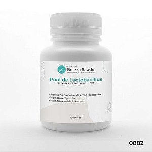 Probióticos para Digestão e Alívio Intestinal : Pool de Lactobacillus Curvatus + Plantarum + FOS - 120 doses