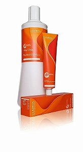 Emulsão Clairol Professional 4% (13 vol.) 1000ml