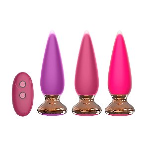 PLUG ANAL COM 10 MODOS DE VIBRAÇÕES E CONTROLE