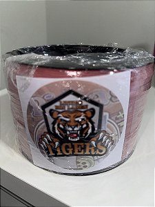 TIGER CH4 - FIO 10 - LISA