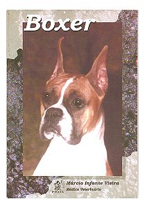 Boxer - Márcio Infante Vieira