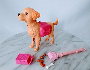 Cachorro da Barbie em treinamento, usado