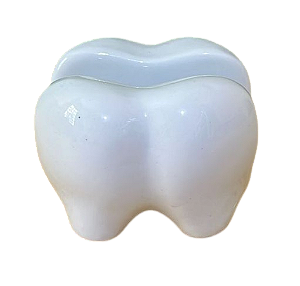 Porta Cartões de visita em forma de dente cor  Branco