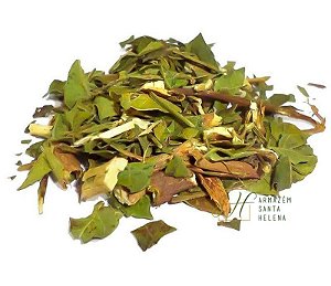 CHÁ DE CIPÓ PRATA (Banisteria Argyrophylla)