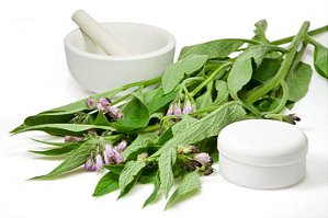 CHÁ DE CONFREY (Symphytum Officinale)