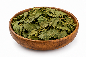 CHÁ DE NEEM INDIANO (NIM, Azadirachta Indica)