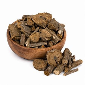 CHÁ DE ABÚTUA (Chondrodendon Platyphyllum)