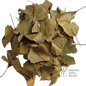 CHÁ DE GINKGO BILOBA (Ginkgo Biloba)