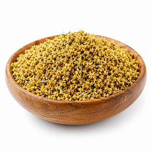 CHÁ DE SABUGUEIRO (Sambucus Nigra)