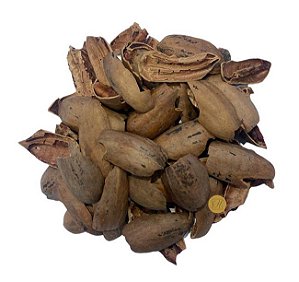 CHÁ DE CASCA DE NOZ PECAN (Carya Illinoinensis)