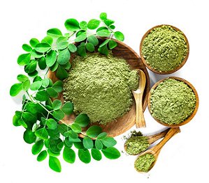 CHÁ DE MORINGA EM PÓ (Moringa Oleifera)