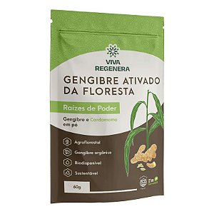 GENGIBRE ATIVADO DA FLORESTA RAÍZES DA FLORESTA 60G - VIVA REGENERA