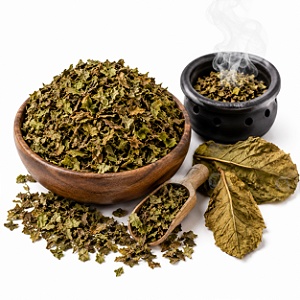 FOLHA DE FUMO BANHOS E DEFUMAÇÃO (Nicotiana Tabacum)