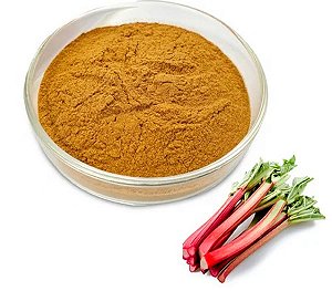 CHÁ DE RUIBARBO EM PÓ (Rheum Palmatum)