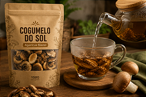 COGUMELO DO SOL (Agaricus Blazei Murril)