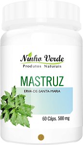 MASTRUZ / MENTRUZ - ERVA DE SANTA MARIA 500MG 60 CÁPSULAS - NINHO VERDE
