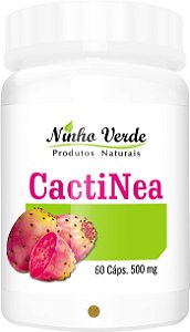 CACTINEA DRENAGEM LINFÁTICA 500MG 60 CÁPSULAS - NINHO VERDE