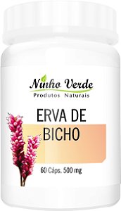 ERVA DE BICHO 500MG 60 CÁPSULAS - NINHO VERDE