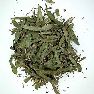 EUCALIPTO GLOBULUS (Eucalypthus Globulus Labill)