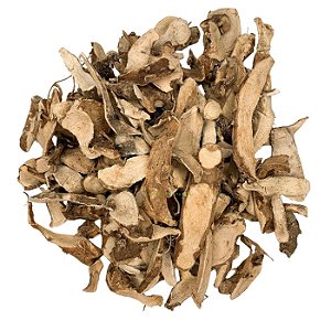 CHÁ DE LÍRIO DO BREJO (Hedychium Coronarium)