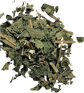 CHÁ DE LIMÃO BRAVO FOLHA (Siparuna Apiocyse)