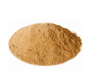 AVENCA EM PÓ (Adiantum Venustum D. Don) - COM LAUDO DE QUALIDADE