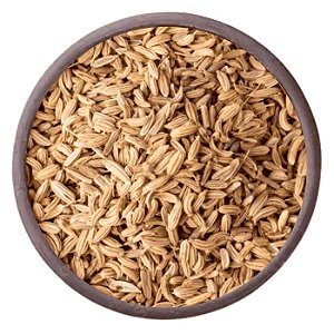 ERVA DOCE ORIGEM ESPANHA