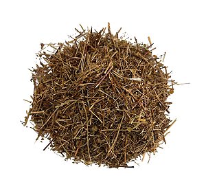 CAMÉDRIO - CAMEDRIUS (Teucrium Chamaedrys L.)