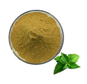 HORTELÃ EM PÓ PURO