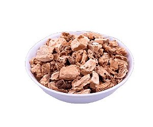 LÍRIO FLORENTINO (Iris Florentina L.)