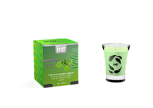 Vela Beijável Menta 40 gr