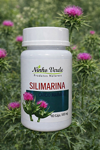 Cardo Mariano 60cáps 500mg ( NINHO VERDE )