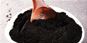 Carvão Vegetal-100g