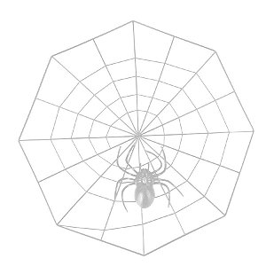 Teia de Aranha Transparente 35X35cm Halloween Cromus Rizzo