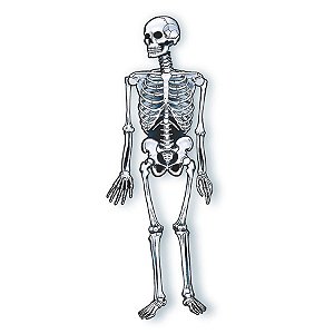 Esqueleto - Halloween - Ref. 365 - 1 unidade - Rizzo