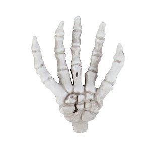 Mãos Esqueleto - Prata -  Festa Halloween - 6 unidades - Cromus - Rizzo