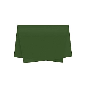 Papel de Seda - 50x70 - Verde Pistache - 10 unidades - Rizzo