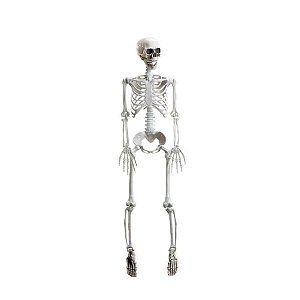 Enfeite Decorativo Halloween - Esqueleto Articulado Xavier - 94cm - 1 unidade - Cromus - Rizzo